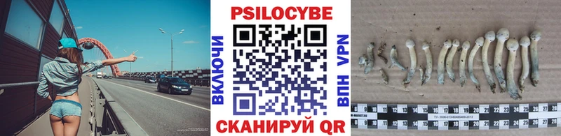 Купить  Суоярви  Псилоцибиновые грибы Psilocybe 